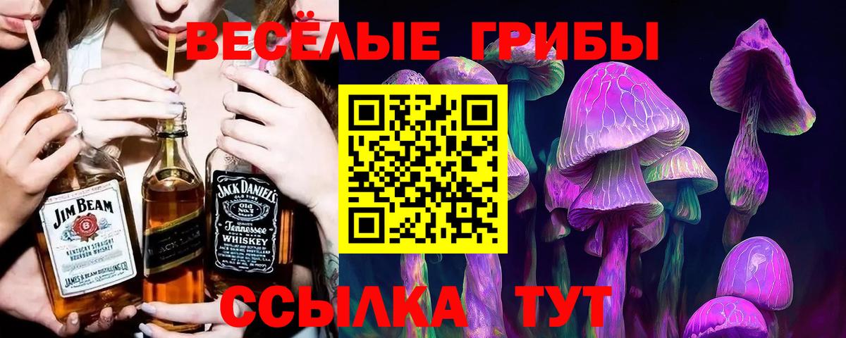 Псилоцибиновые грибы GOLDEN TEACHER Котовск