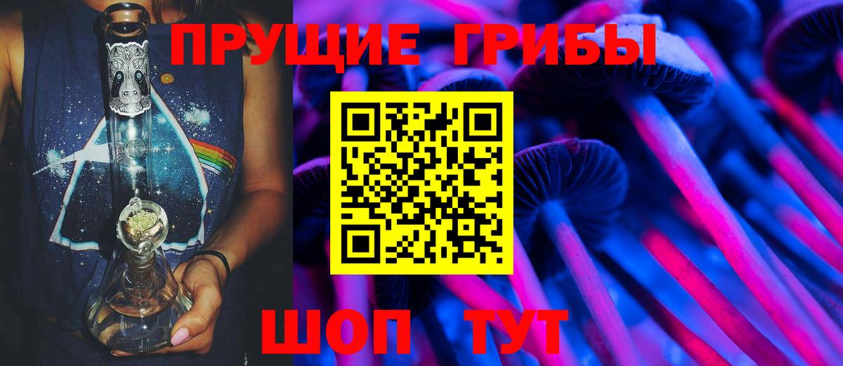 Котовск  Псилоцибиновые грибы мухоморы  Вход с VPN 